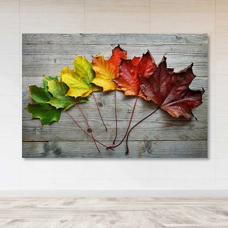 Quadro em Tela Decorativa Multicolor 100x140 cm – Canvas 100% com Moldura de Madeira (3–4 cm) | Ref. DEV02959100140