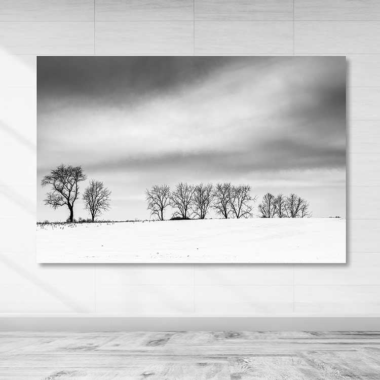 Tela Decorativa em Canvas 100% com Moldura de Madeira (3–4 cm), 100 x 140 cm – Multicolor