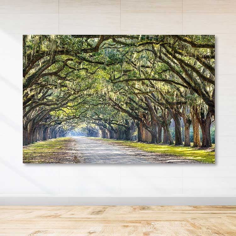 Tela Decorativa em Canvas Multicolor 100x140 cm com Moldura de Madeira (3–4 cm) | DEV03290100140