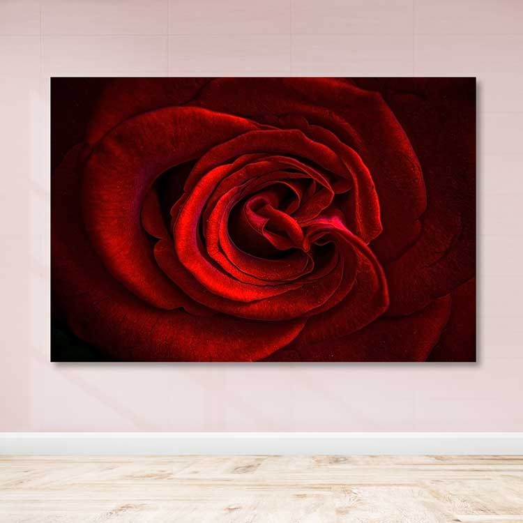 Tela Decorativa Multicolor 100x140 cm com Moldura de Madeira (3–4 cm) – 100% Canvas | DEV03325100140