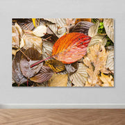 Quadro em Tela Decorativa Multicolor 100% Canvas 100x140 cm com Moldura de Madeira (3–4 cm)