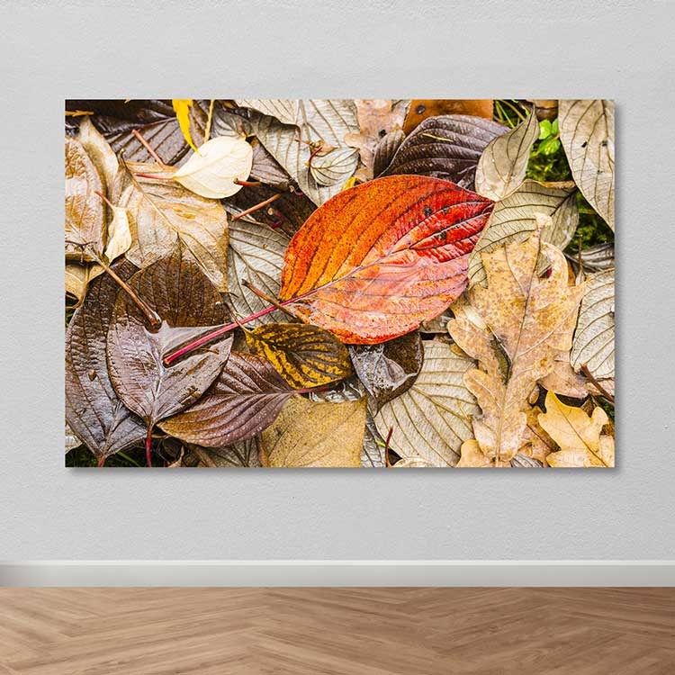 Quadro em Tela Decorativa Multicolor 100% Canvas 100x140 cm com Moldura de Madeira (3–4 cm)
