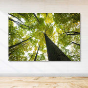 Tela Decorativa Multicolor 100x140 cm com Moldura de Madeira (3–4 cm) – 100% Canvas