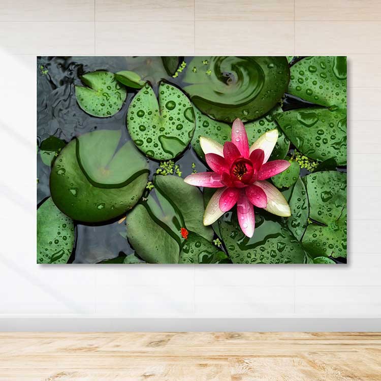 Quadro Decorativo em Tela (Canvas) 100% com Moldura de Madeira 100% 3–4 cm, Multicolor, 100 x 140 cm