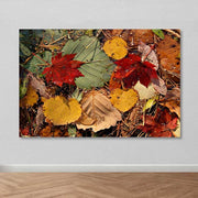 Tela Decorativa em Lona 100% Multicolor 100 x 140 cm com Moldura de Madeira (3–4 cm)