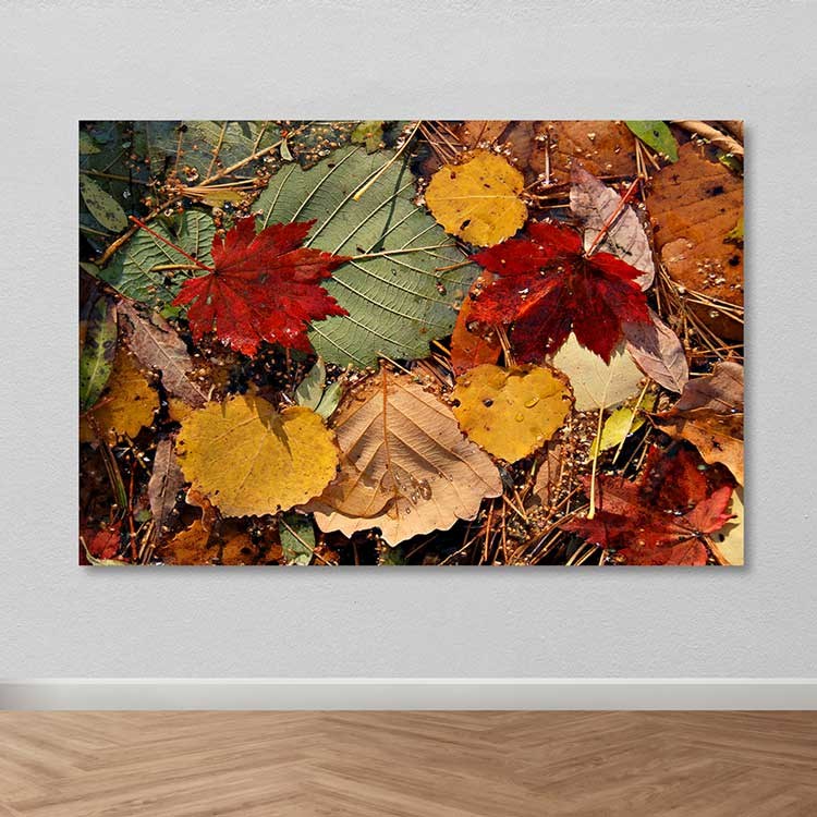 Tela Decorativa em Lona 100% Multicolor 100 x 140 cm com Moldura de Madeira (3–4 cm)