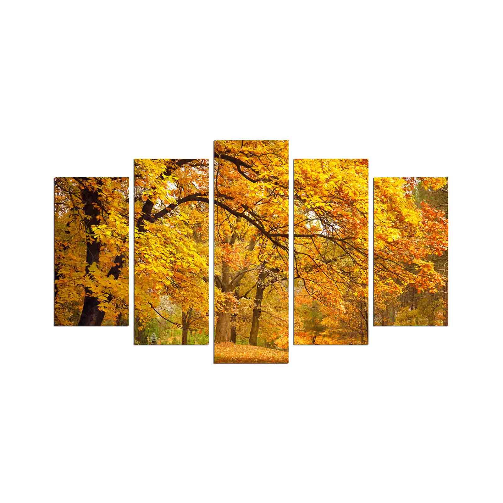 Quadro Decorativo em MDF Multicolor (5 Peças) 110x60 cm – Espessura 3 mm | 5PMDF-61