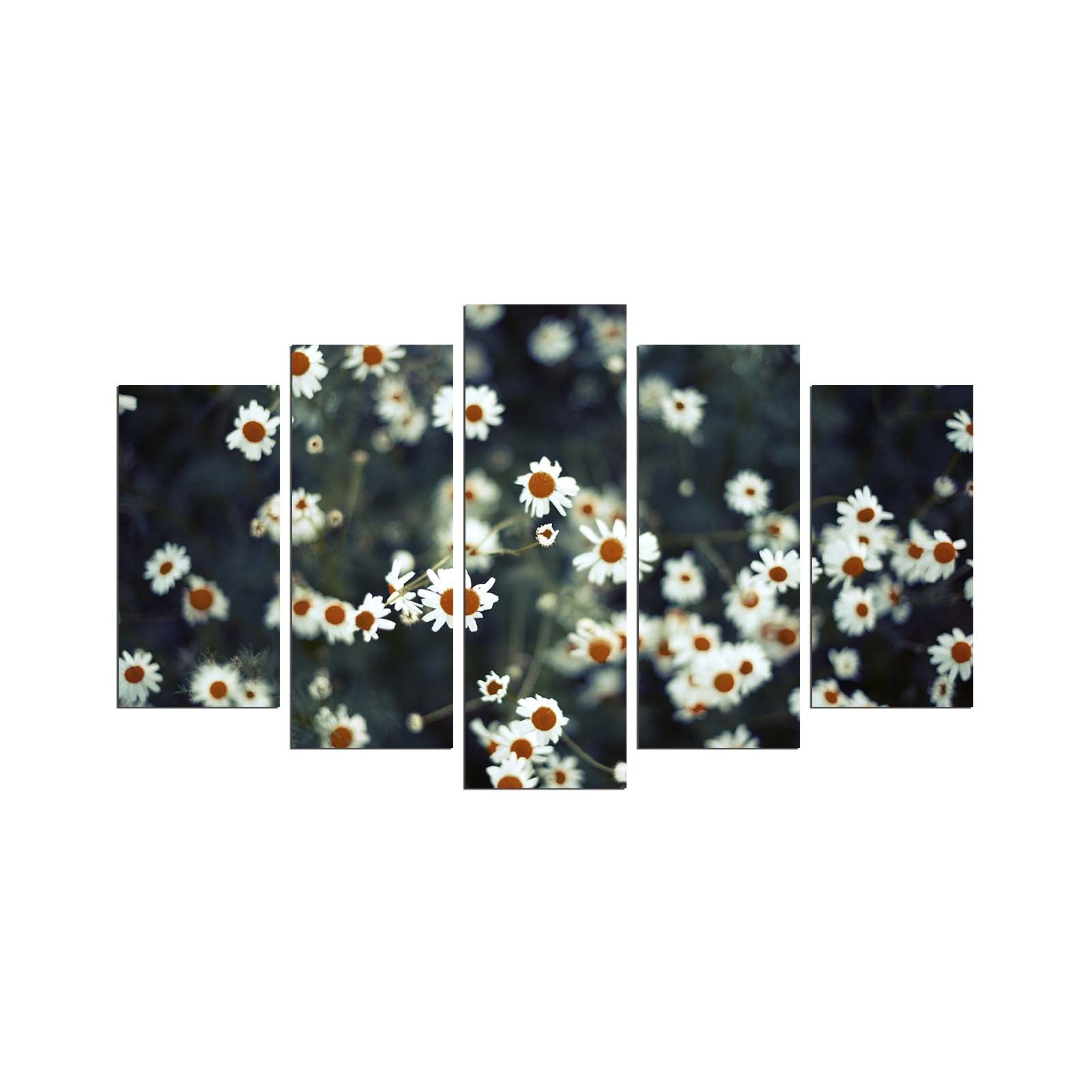 Conjunto de Quadros Decorativos em MDF Multicolor (5 Peças) – 3 mm – 110 x 60 cm