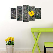 Conjunto de Quadros Decorativos em MDF (5 Peças) Multicolor 110x60 cm – 5PMX-053