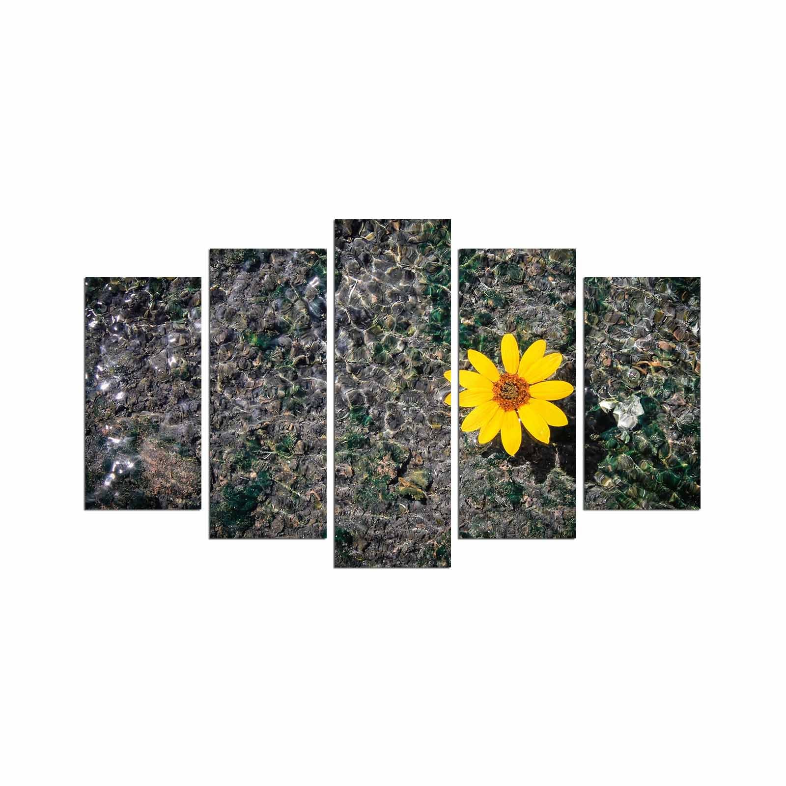 Conjunto de Quadros Decorativos em MDF (5 Peças) Multicolor 110x60 cm – 5PMX-053