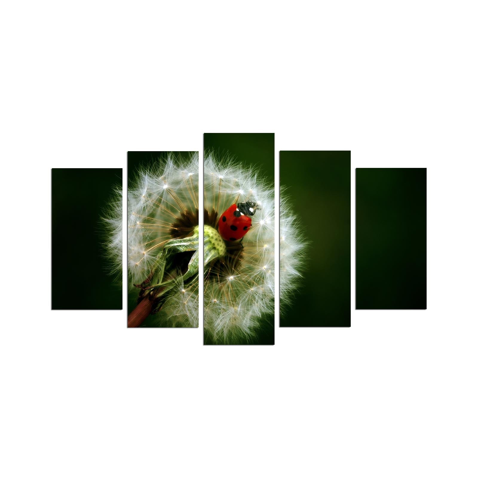 Conjunto de Quadros Decorativos em MDF (5 Peças) – Multicolorido – 110 x 60 cm – 3 mm – 5PMX-096