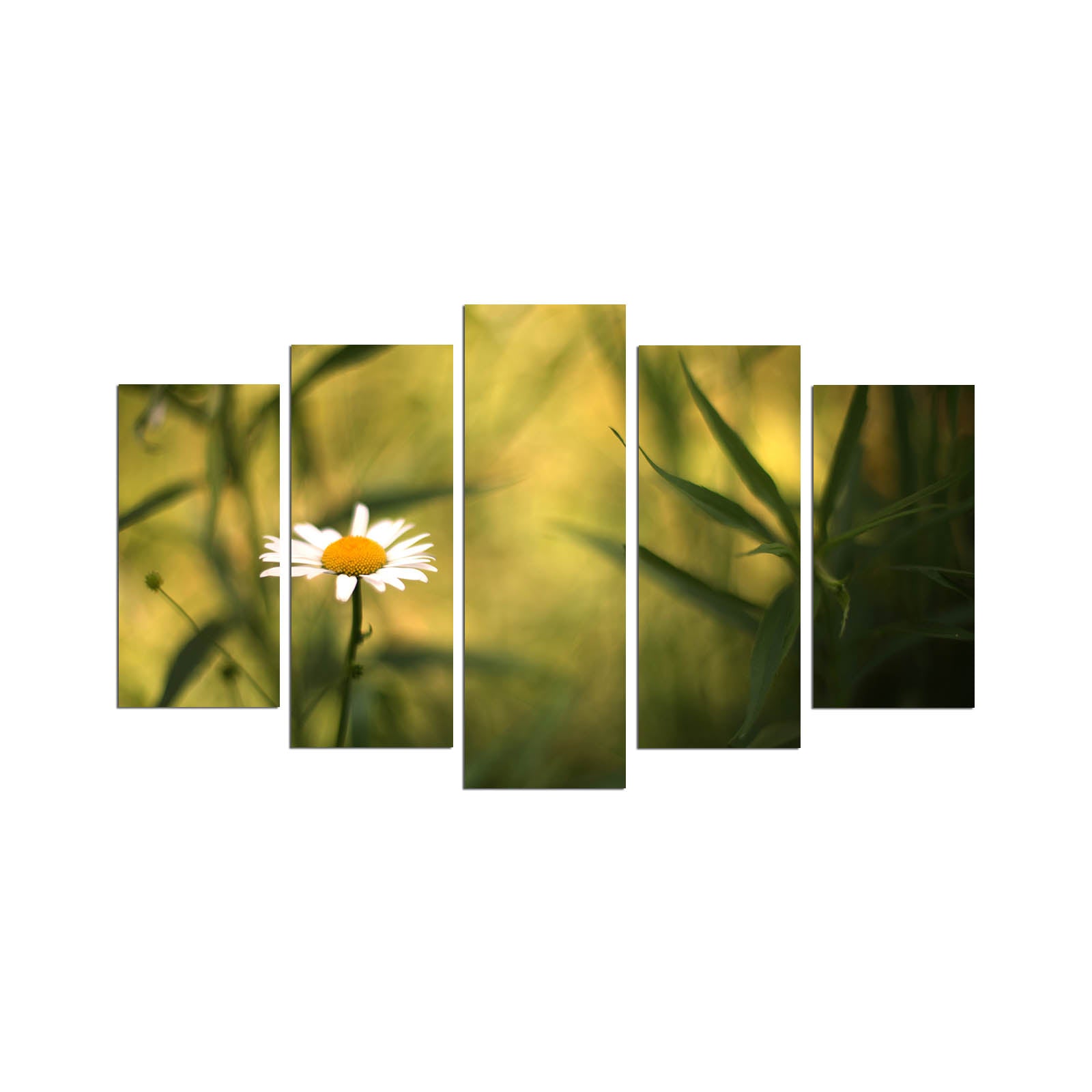 Quadro Decorativo em MDF Multicolor (Conjunto de 5 Peças) 110x60 cm – 5PMX-115