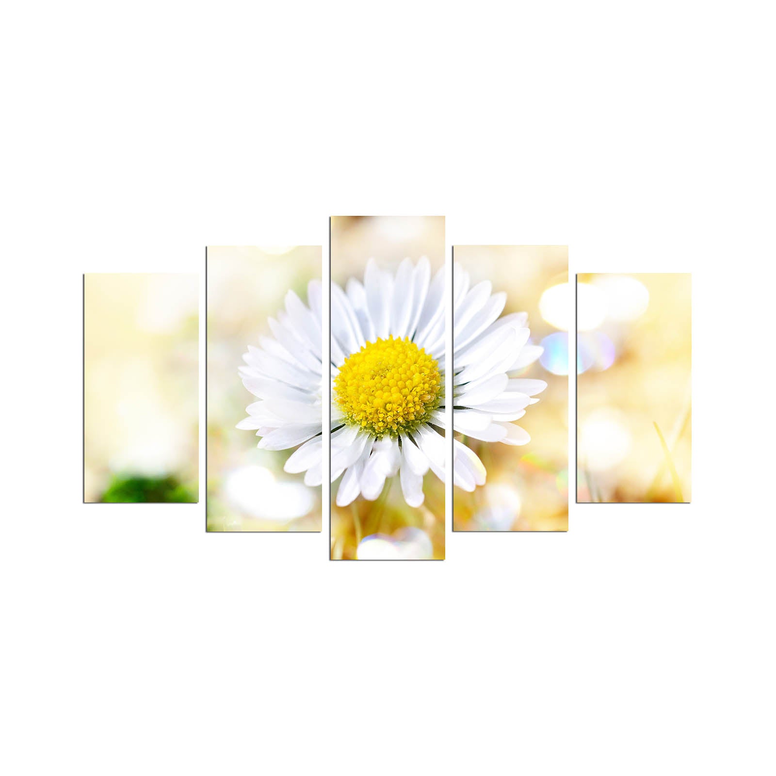 Quadro Decorativo em MDF Multicolor (5 Peças) 110x60 cm – 5PMX-137