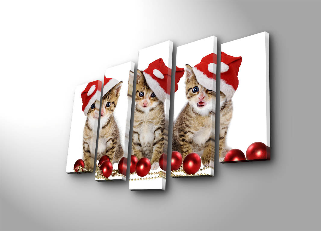 Quadro Decorativo em Tela Multicolor – Conjunto de 5 Peças – 100% Suede Canvas, Moldura de Madeira (3 cm) – 105 x 70 cm