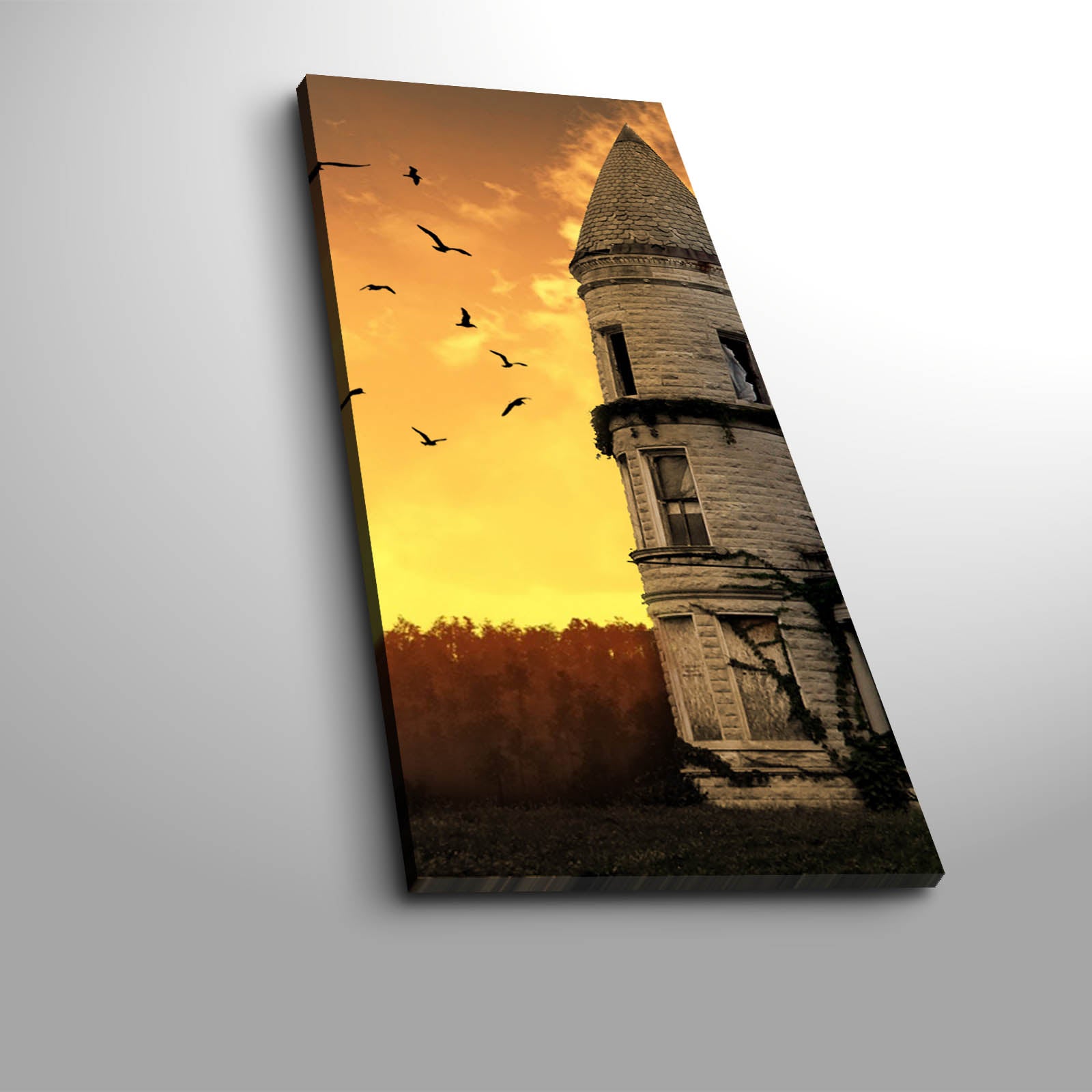 Quadro Decorativo Canvas Multicolor 30x70cm - Moldura Madeira