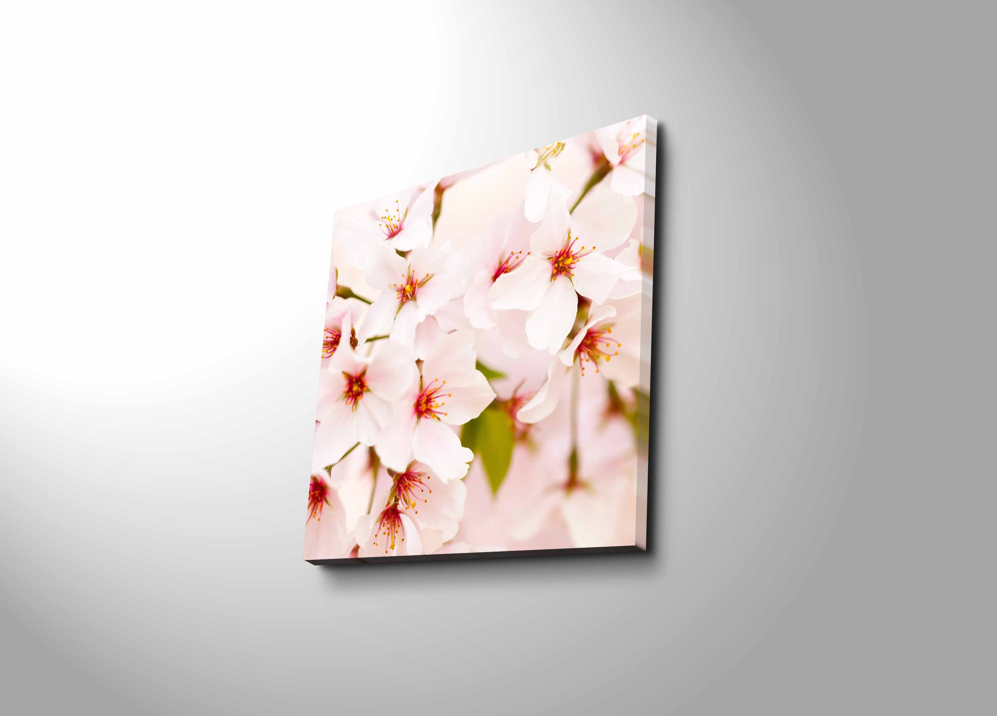 Tela Decorativa Multicolor Premium - Canvas Suede 45x45cm