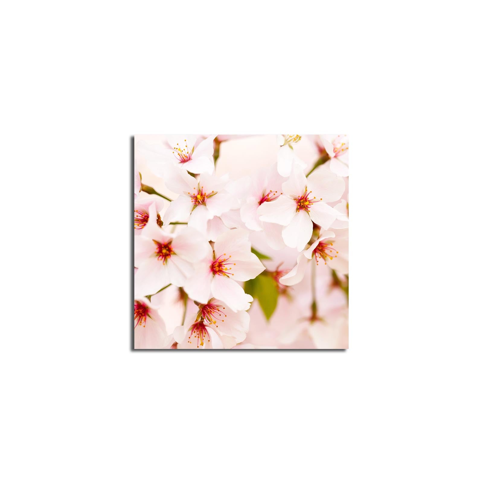 Tela Decorativa Multicolor Premium - Canvas Suede 45x45cm