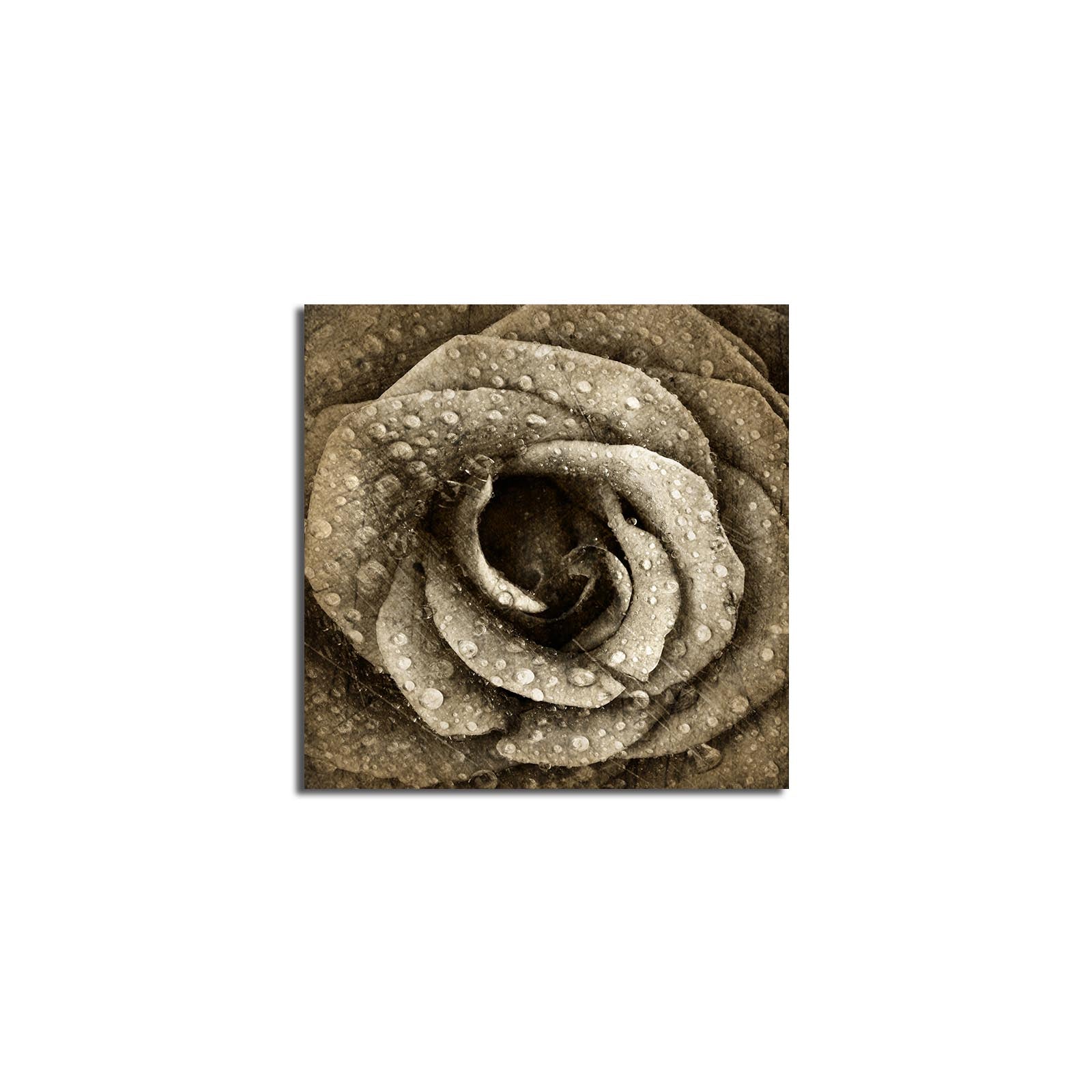 Quadro Decorativo Canvas Premium Multicolor 45x45cm - Moldura Madeira