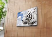 Tela Decorativa Multicolor Premium 30x40cm - Moldura Madeira 3cm