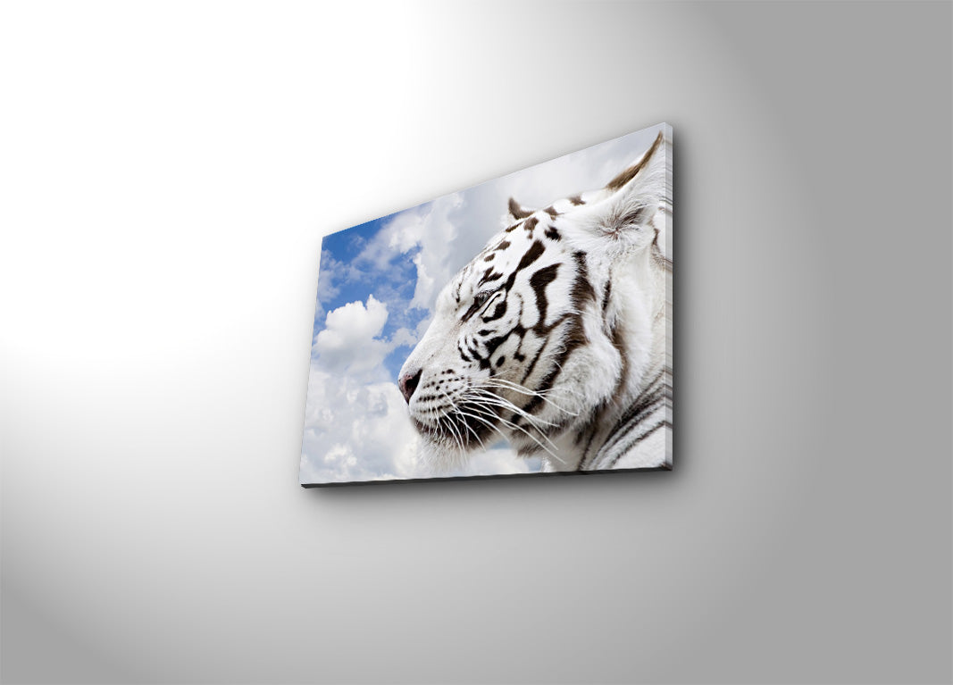 Tela Decorativa Multicolor Premium 30x40cm - Moldura Madeira 3cm