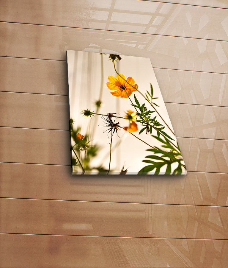 Tela Decorativa Multicolor Premium - Arte em Suede Canvas 28x38cm