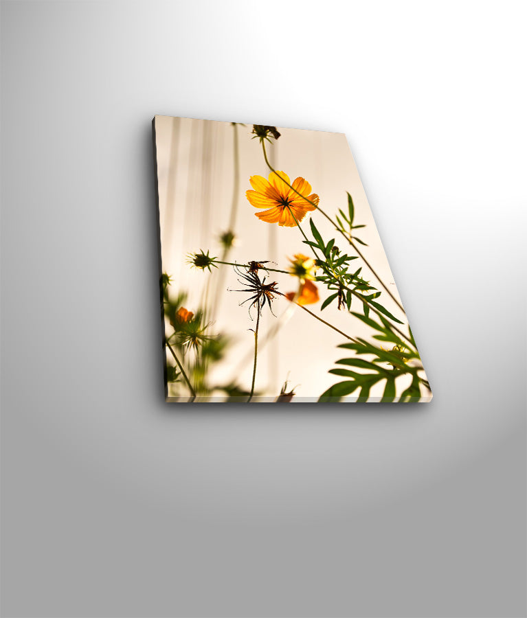 Tela Decorativa Multicolor Premium - Arte em Suede Canvas 28x38cm