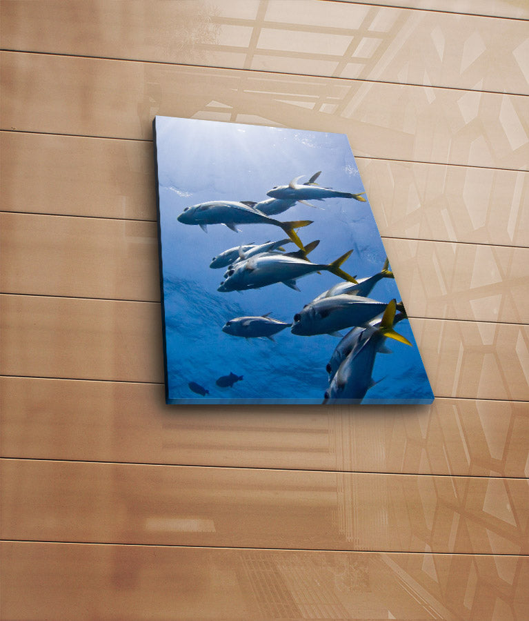 Quadro Decorativo Multicolor em Tela Suede - Moldura Madeira 32x42cm