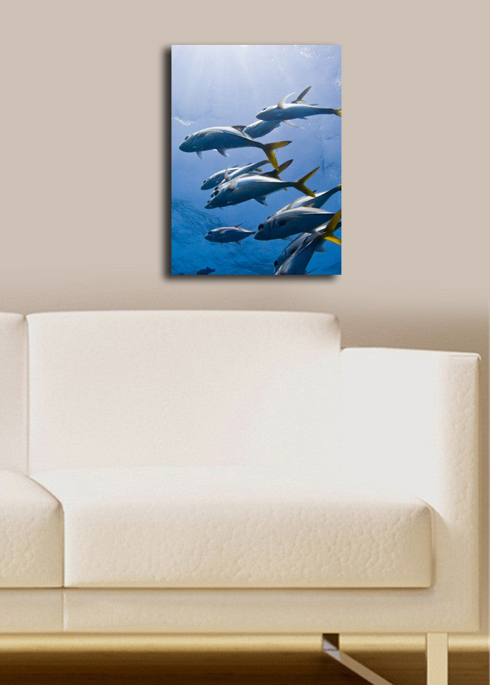 Quadro Decorativo Multicolor em Tela Suede - Moldura Madeira 32x42cm