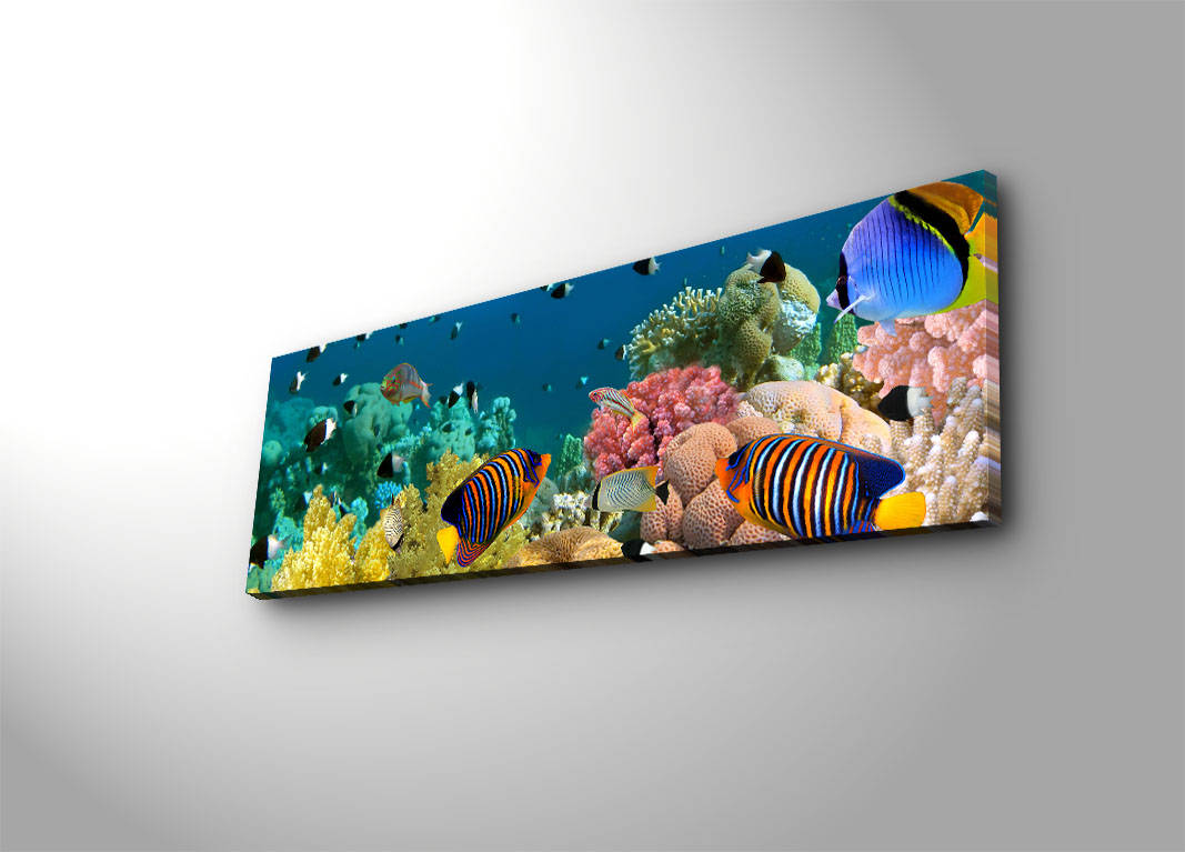 Pintura em tela decorativa com iluminação LED, 30 x 90 cm, 100% camurça, moldura de madeira (3 cm), alimentada por bateria com interruptor liga/desliga, perfeita para decoração de casa