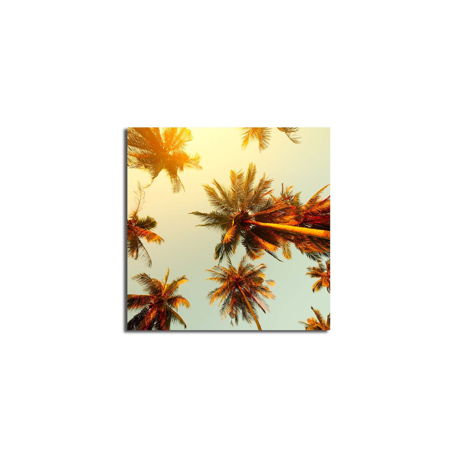 Tela Decorativa Multicolor 45x45 cm em Suede 100% com Moldura de Madeira (3 cm)