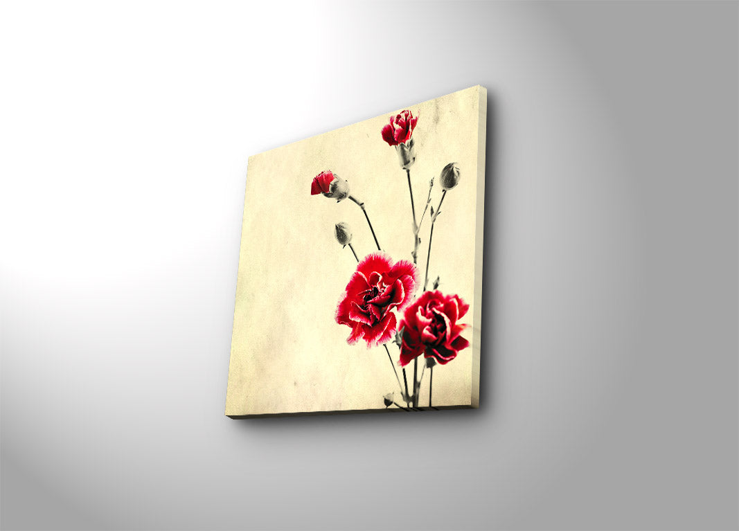 Pintura em Tela Decorativa Multicolor 45x45 cm | Camurça 100% | Moldura de Madeira 3 cm – 4545K-11 (242BNZ1211)