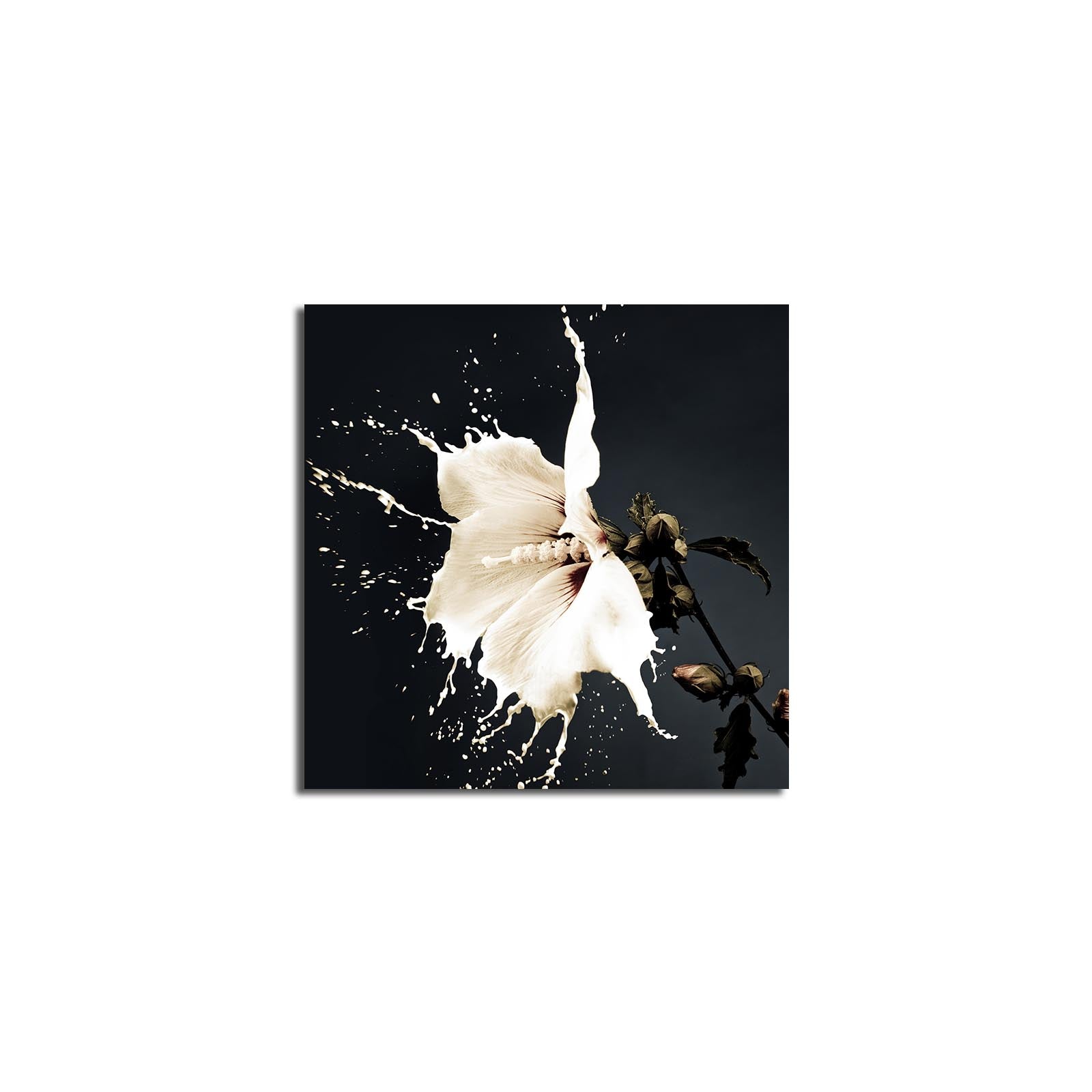 Quadro em Tela Decorativa Multicolor 45 x 45 cm, Suede 100%, Moldura de Madeira 3 cm – 4545K-20