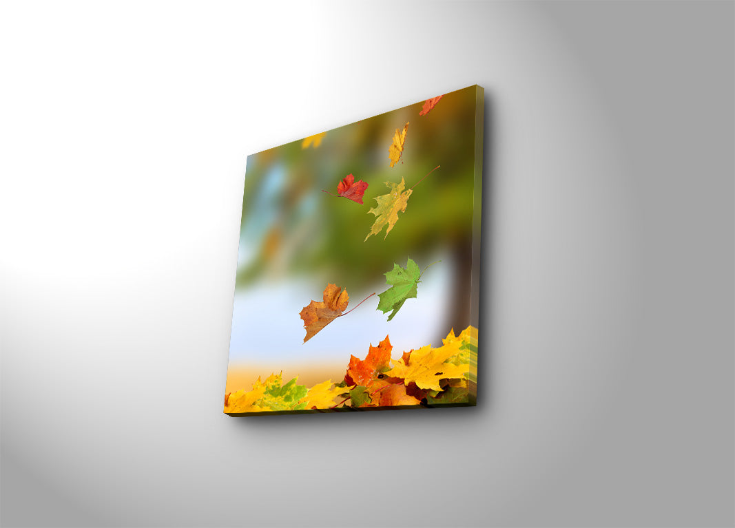 Tela Decorativa Multicolor 45x45 cm em Camurça 100% com Moldura de Madeira 3 cm – 4545K-22