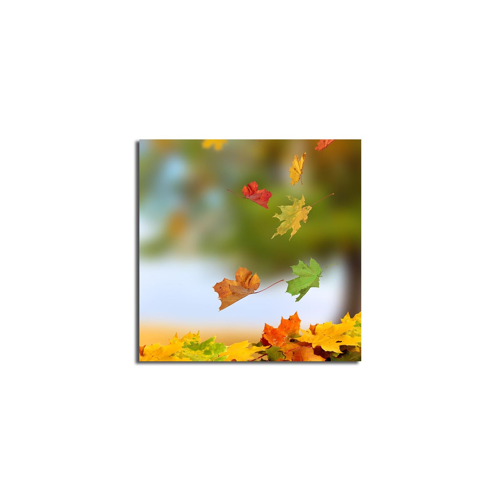 Tela Decorativa Multicolor 45x45 cm em Camurça 100% com Moldura de Madeira 3 cm – 4545K-22