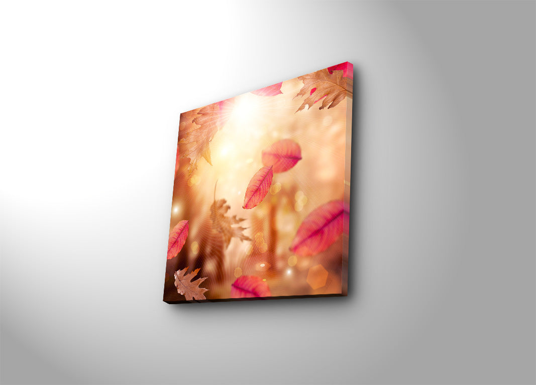 Quadro Decorativo Multicolor 45 x 45 cm | Tela Suede 100% com Moldura de Madeira (3 cm)