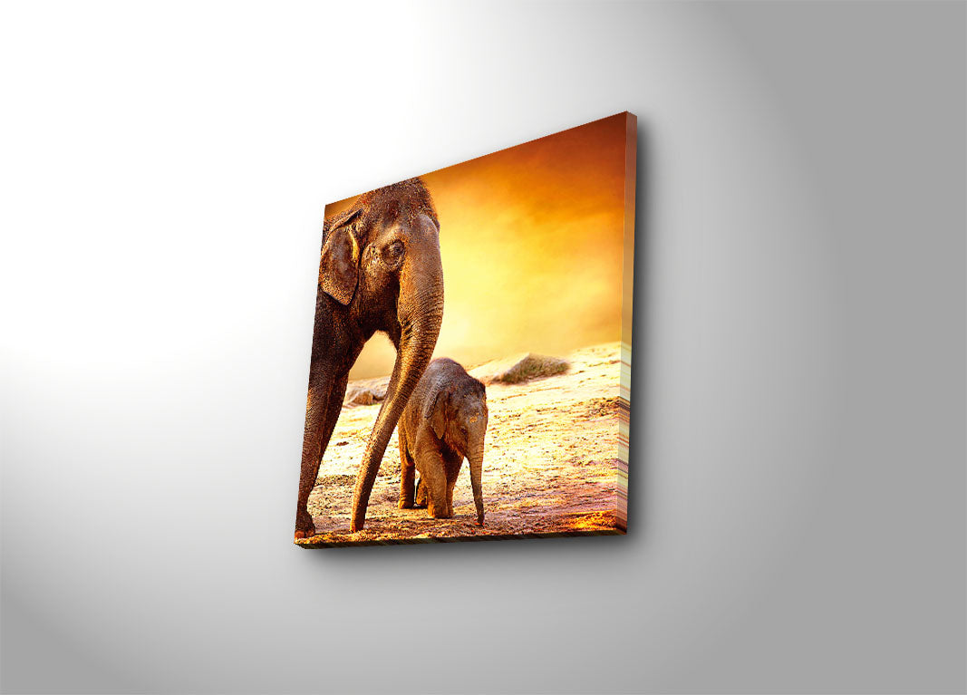 Tela Decorativa Multicolor 45x45 cm em Camurça 100% com Moldura de Madeira (3 cm) – 4545K-28