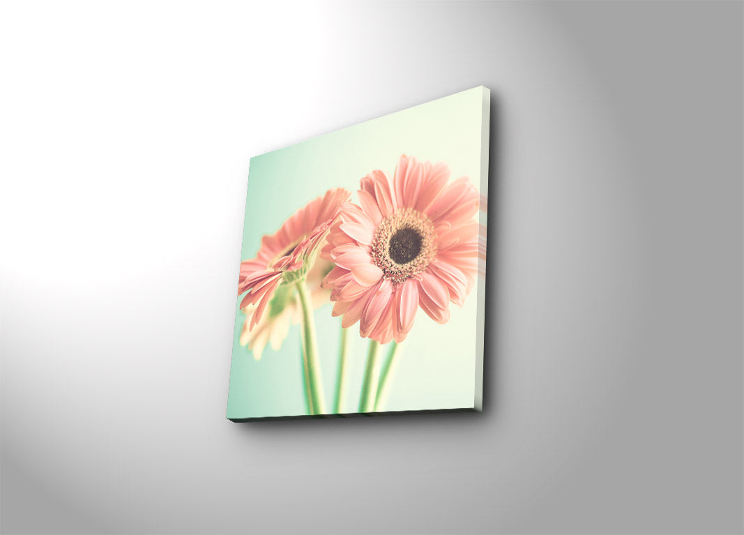 Quadro Decorativo em Tela Multicolor 45x45 cm — Camurça 100% com Moldura de Madeira 3 cm