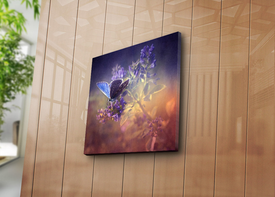 Tela Decorativa Multicolor em Camurça 100%, 45 x 45 cm, Moldura de Madeira 3 cm – 4545K-36 (242BNZ1236)