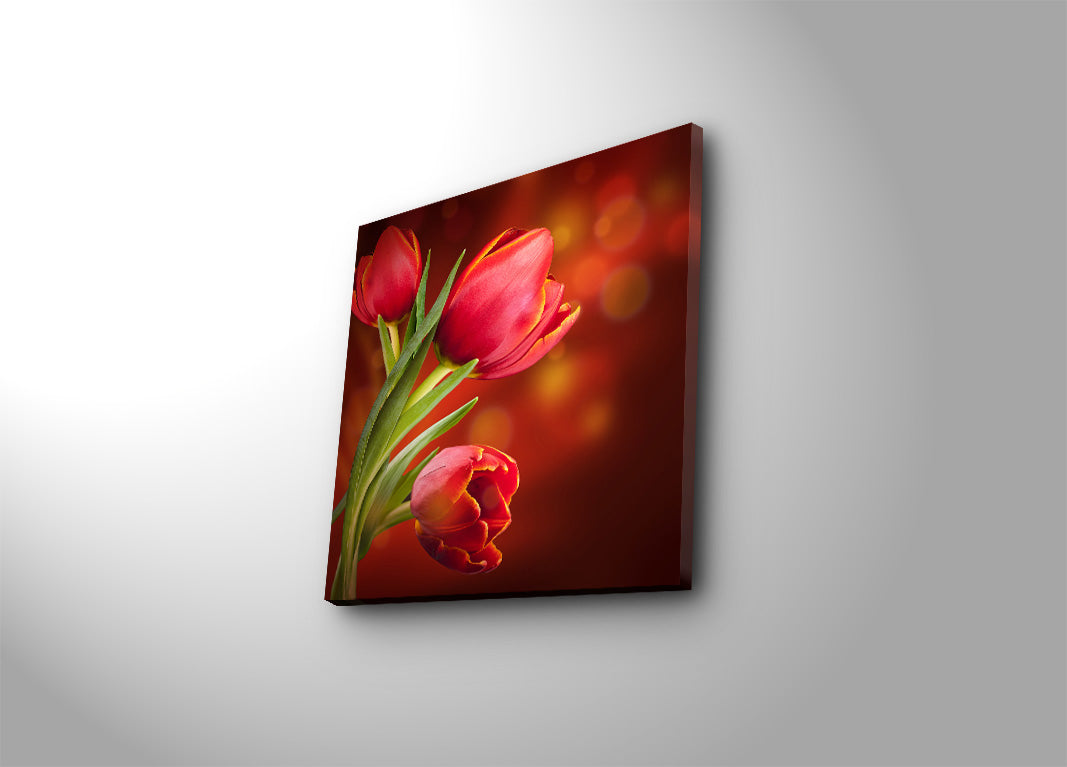 Quadro em Tela Decorativa Multicolor 45 x 45 cm, Camurça 100%, Moldura de Madeira 3 cm – 4545K-38