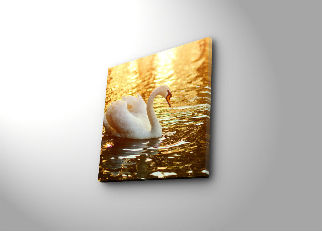 Quadro em Tela Decorativa Multicolor 45x45 cm — Suede 100% com Moldura de Madeira 3 cm (4545K-46)