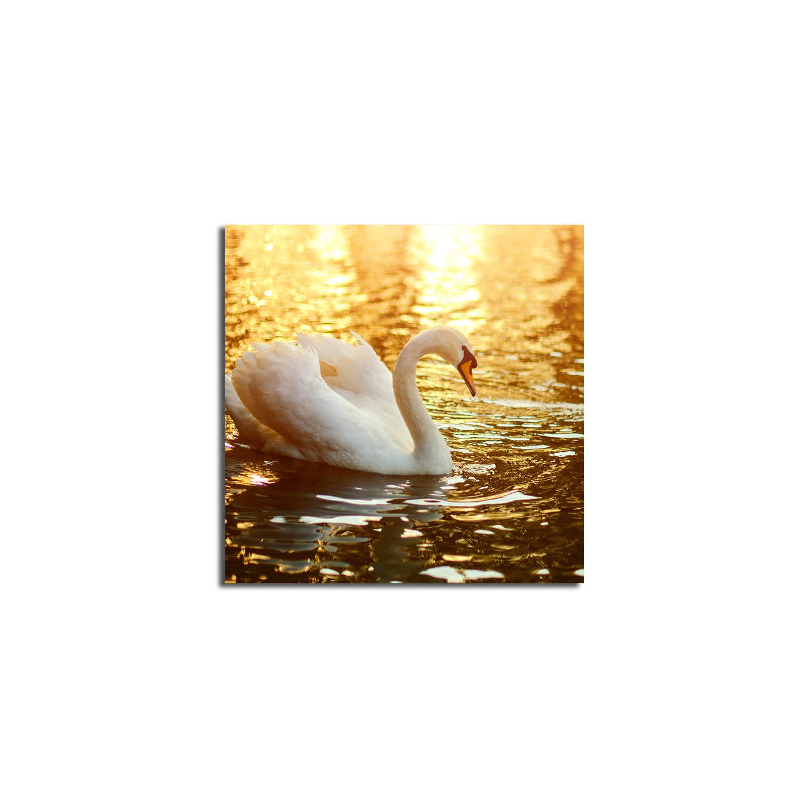 Quadro em Tela Decorativa Multicolor 45x45 cm — Suede 100% com Moldura de Madeira 3 cm (4545K-46)