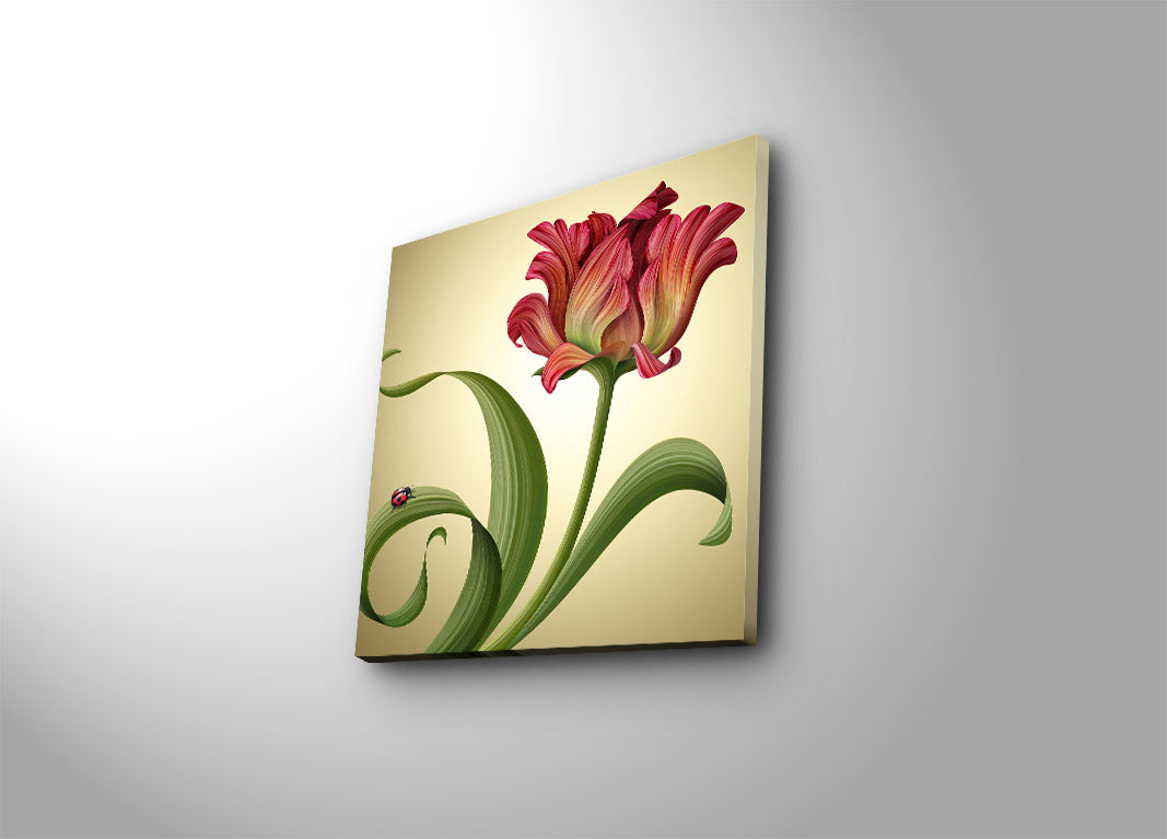 Tela Decorativa Multicolor 45x45 cm | Suede 100% com Moldura de Madeira 3 cm – Modelo 4545K-48