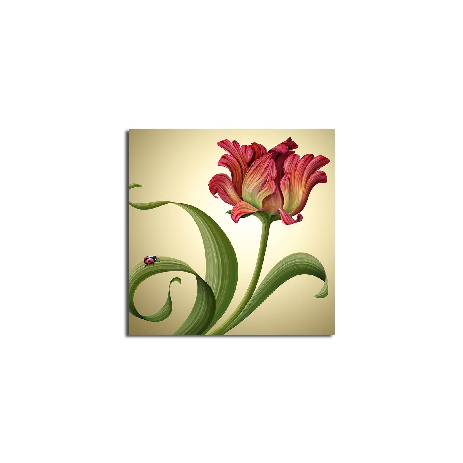 Tela Decorativa Multicolor 45x45 cm | Suede 100% com Moldura de Madeira 3 cm – Modelo 4545K-48