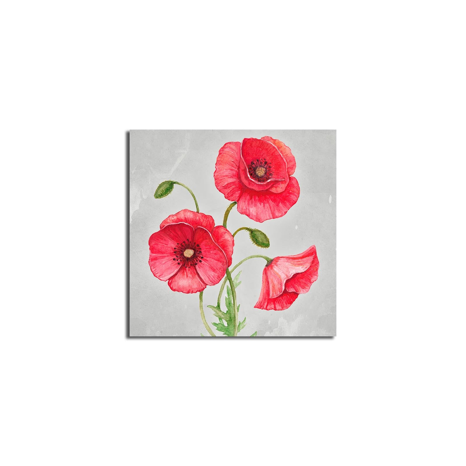 Quadro Decorativo em Tela Suede 100% com Moldura de Madeira 3 cm — Multicolor, 45 x 45 cm (4545K-57)