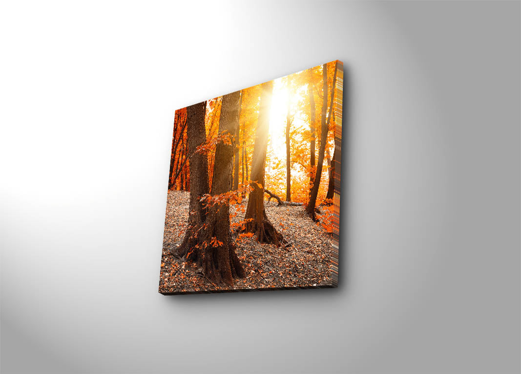 Tela Decorativa Multicor 45 x 45 cm em Camurça 100% com Moldura de Madeira 3 cm – 4545K-61