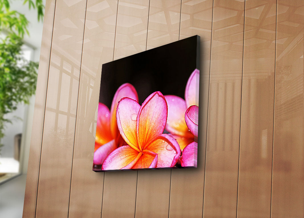 Quadro em Tela Decorativa Multicolor 45x45 cm | Suede 100% com Moldura de Madeira 3 cm – 4545K-68