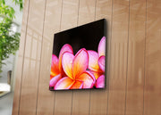 Quadro em Tela Decorativa Multicolor 45x45 cm | Suede 100% com Moldura de Madeira 3 cm – 4545K-68