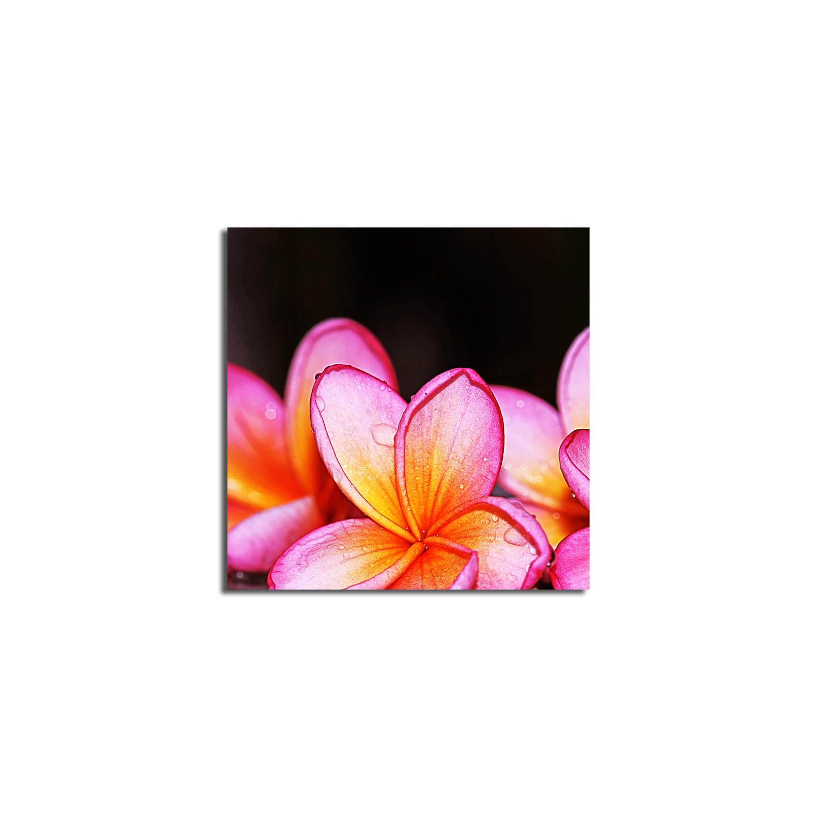 Quadro em Tela Decorativa Multicolor 45x45 cm | Suede 100% com Moldura de Madeira 3 cm – 4545K-68