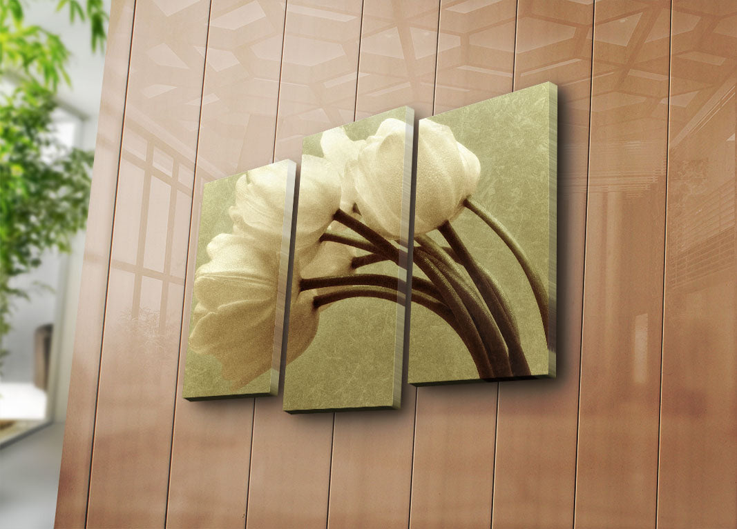 Quadro em Tela Decorativo Multicolor (Conjunto 3 Peças) – Suede 100% com Moldura em Madeira, 45 x 66 cm