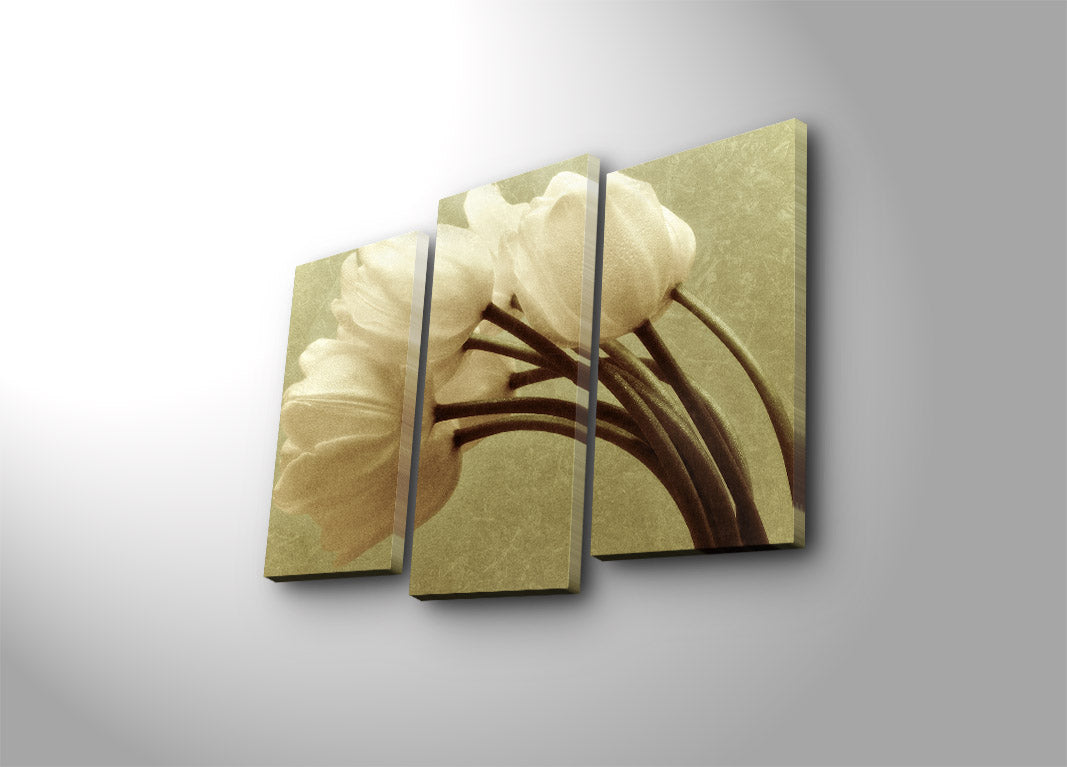 Quadro em Tela Decorativo Multicolor (Conjunto 3 Peças) – Suede 100% com Moldura em Madeira, 45 x 66 cm